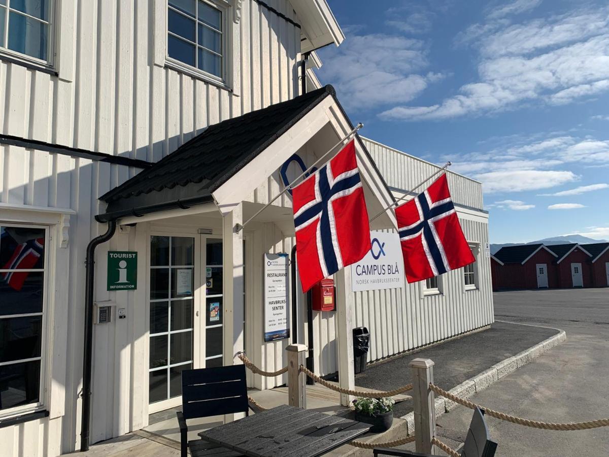 Hotel Norsk Havbrukssenter - Rorbuer Bronnoysund Exterior foto