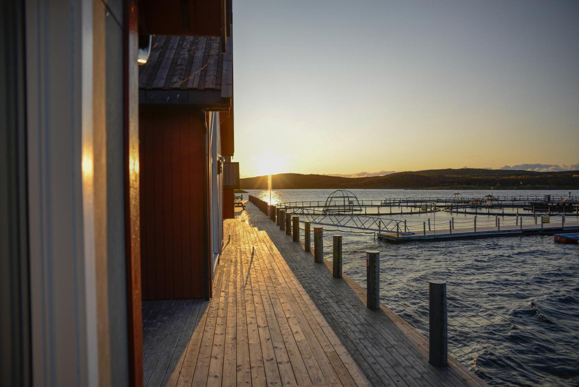Hotel Norsk Havbrukssenter - Rorbuer Bronnoysund Exterior foto